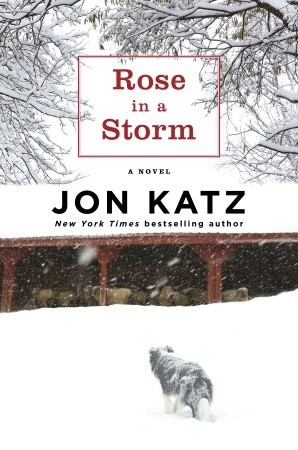 Rose in a Storm (2010) by Jon Katz