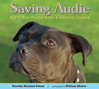 Saving Audie: A Pit Bull Puppy Gets a Second Chance (2011) by Dorothy Hinshaw Patent