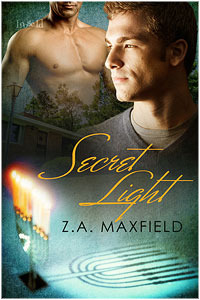 Secret Light (2011)