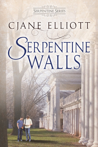 Serpentine Walls (2013) by CJane Elliott