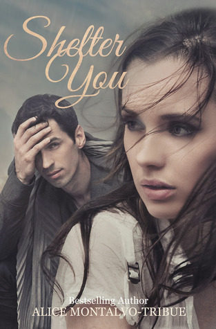 Shelter You (2014) by Alice Montalvo-Tribue