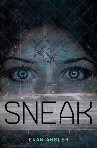 Sneak (2012) by Evan Angler