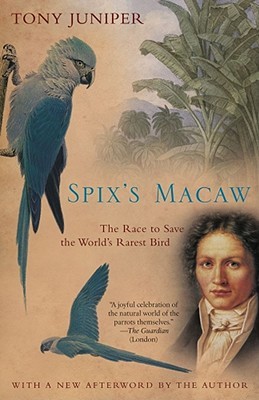 Spix's Macaw: The Race to Save the World's Rarest Bird (2004) by Tony Juniper