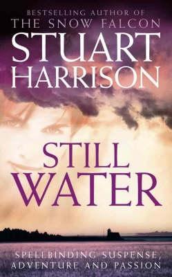 Still Water (2001) by Stuart   Harrison