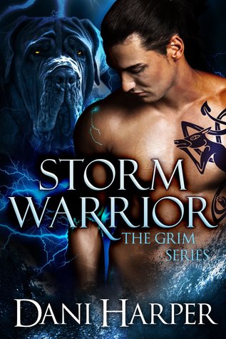 Storm Warrior (2013) by Dani Harper