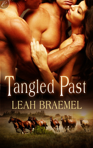Tangled Past (2011) by Leah Braemel