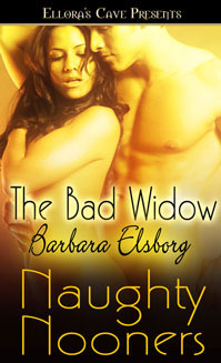 The Bad Widow (2009) by Barbara Elsborg