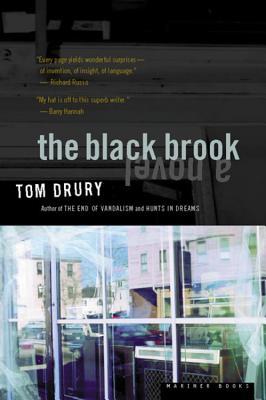 The Black Brook (2000) by Tom Drury