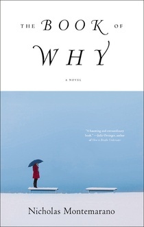 The Book of Why (2013) by Nicholas Montemarano