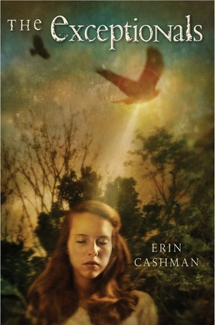 The Exceptionals (2012) by Erin Cashman