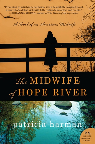 The Midwife of Hope River (2012)