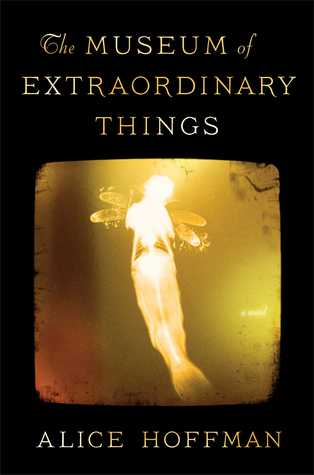 The Museum of Extraordinary Things (2014) by Alice Hoffman