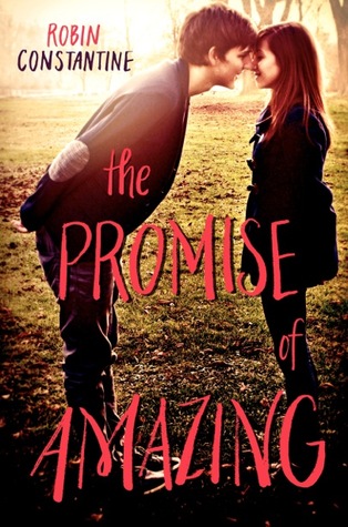 The Promise of Amazing (2013) by Robin Constantine