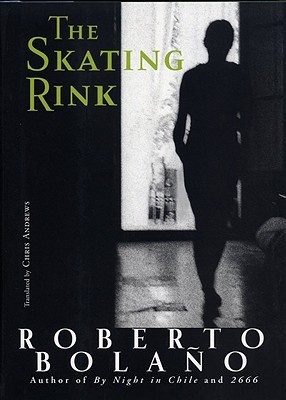 The Skating Rink (2009) by Chris Andrews