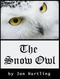 The Snow Owl (2000) by Jon Hartling