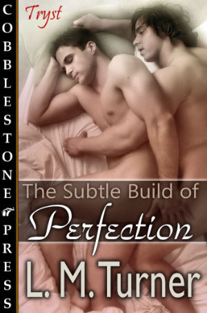 The Subtle Build of Perfection (2000) by L.M. Turner