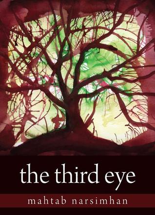 The Third Eye (The Tara Trilogy, #1) (2007) by Mahtab Narsimhan