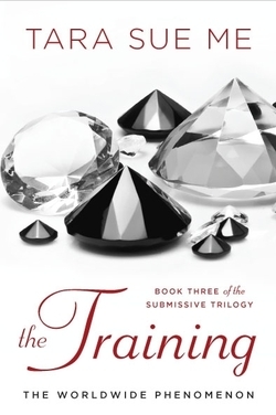 The Training (2013) by Tara Sue Me