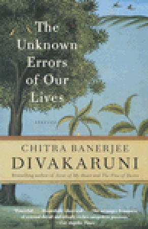 The Unknown Errors of Our Lives: Stories (2002) by Chitra Banerjee Divakaruni
