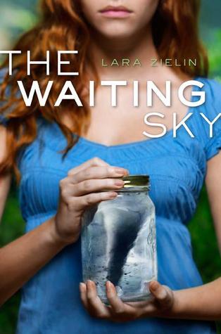 The Waiting Sky (2012) by Lara Zielin