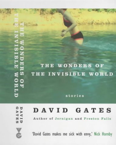 The Wonders Of The Invisible World (2015) by David Gates