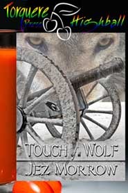 Touch of a Wolf (2010) by Jez Morrow