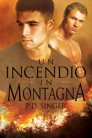 Un incendio in montagna (2014)