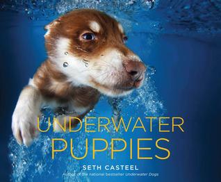 Underwater Puppies (2014) by Seth Casteel