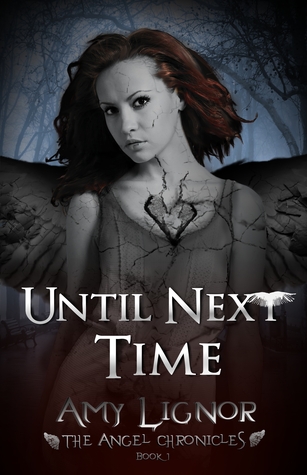 Until Next Time (2012)