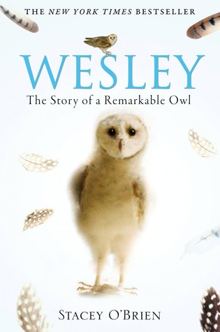 Wesley The Remarkable Story Of An Owl (2009) by Stacey O'Brien