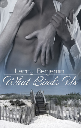 What Binds Us (2012) by Larry  Benjamin