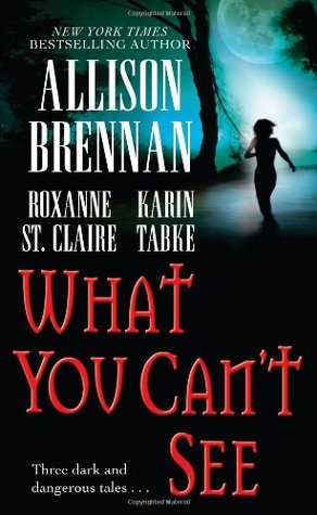 What You Can't See (2007) by Allison Brennan