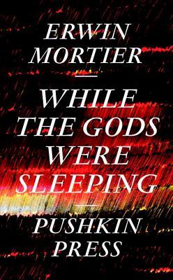 While the Gods Were Sleeping (2014) by Erwin Mortier