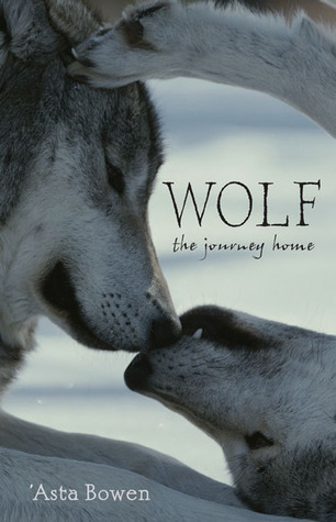 Wolf: The Journey Home (2005) by Asta Bowen