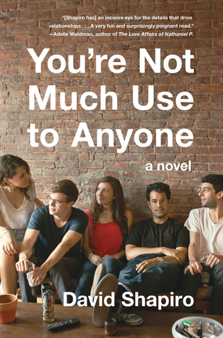 You're Not Much Use to Anyone (2014) by David Shapiro